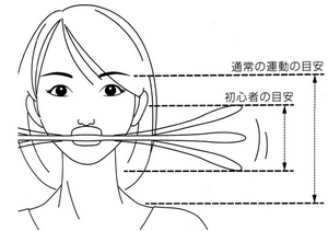 PAO�̎g����